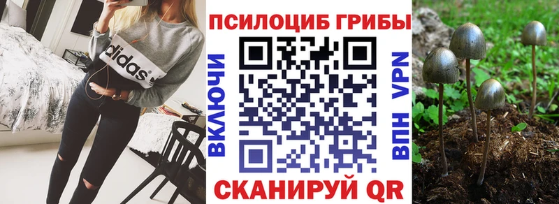 Псилоцибиновые грибы Psilocybine cubensis  купить наркотик  Петухово 